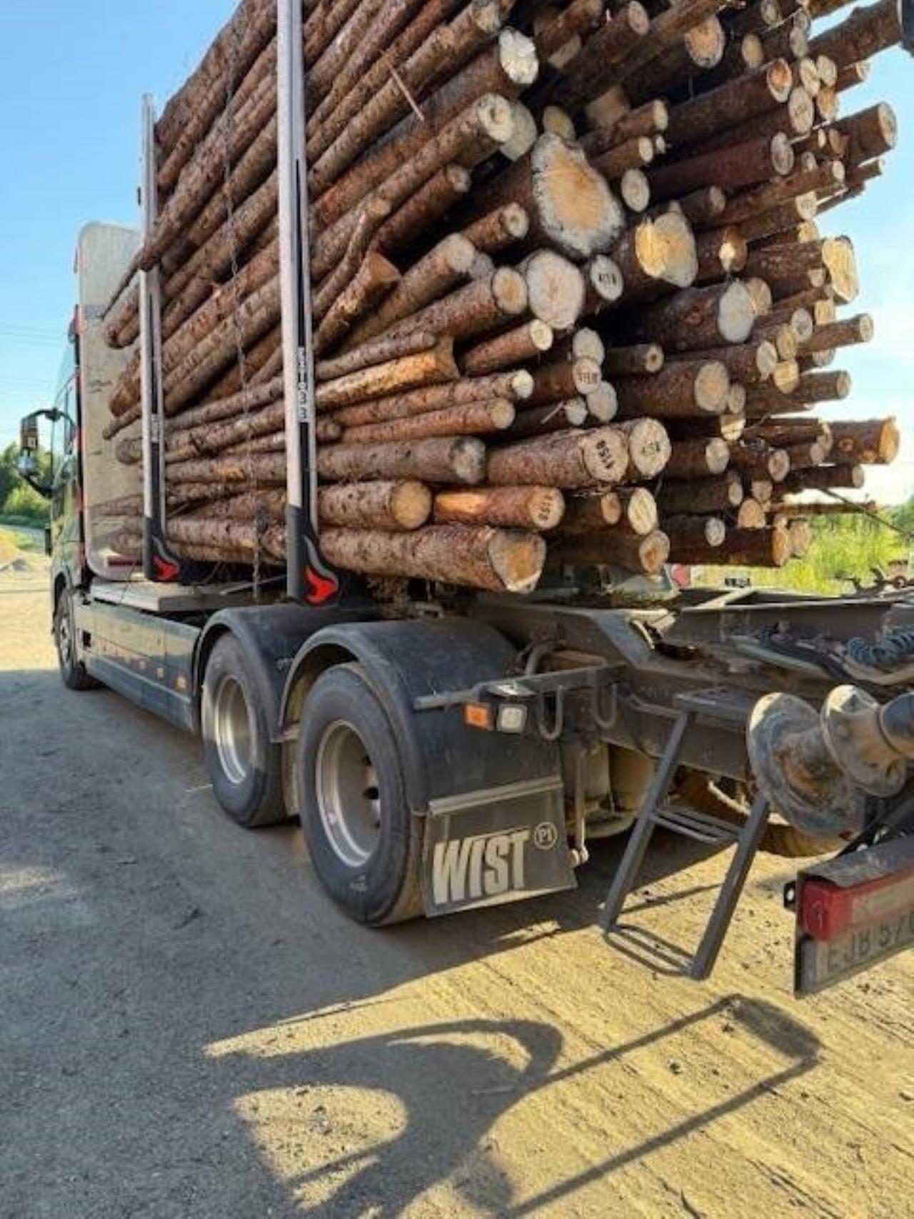 Volvo FH 540 Timmerbil 2021 - Timmer